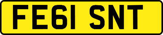 FE61SNT