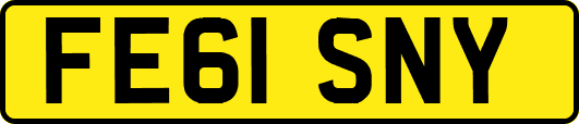 FE61SNY