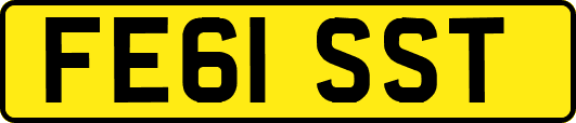FE61SST