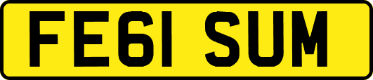 FE61SUM