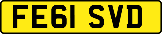 FE61SVD