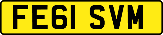 FE61SVM