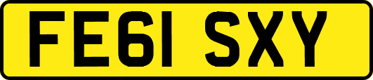 FE61SXY