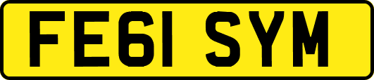 FE61SYM