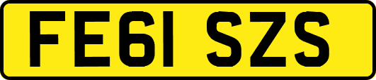 FE61SZS