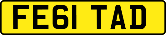 FE61TAD