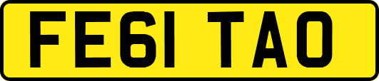 FE61TAO