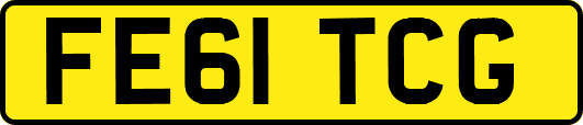 FE61TCG