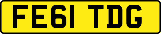 FE61TDG