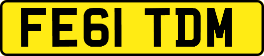 FE61TDM
