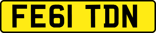 FE61TDN