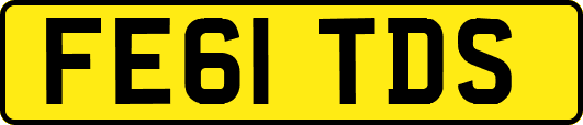FE61TDS