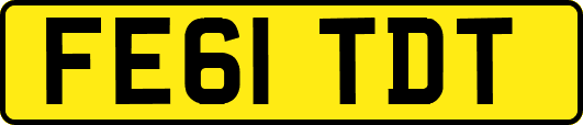 FE61TDT