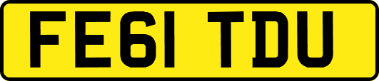 FE61TDU