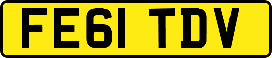 FE61TDV
