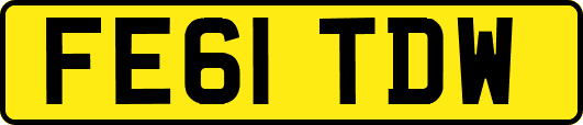 FE61TDW