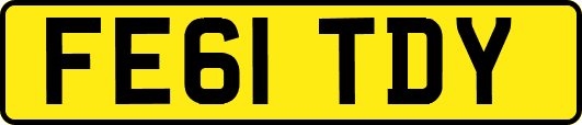 FE61TDY