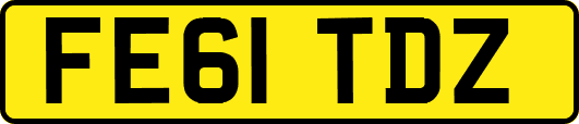 FE61TDZ