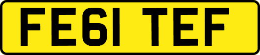 FE61TEF