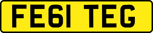 FE61TEG