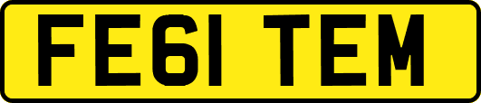 FE61TEM