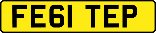 FE61TEP