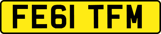 FE61TFM