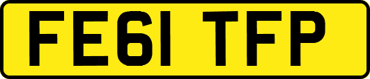 FE61TFP
