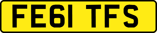 FE61TFS