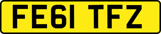 FE61TFZ