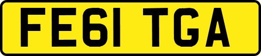 FE61TGA
