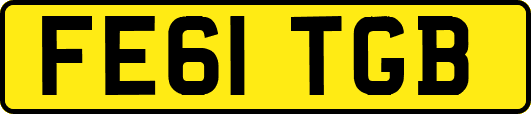 FE61TGB