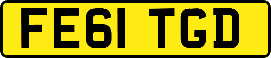 FE61TGD