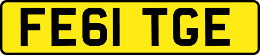 FE61TGE