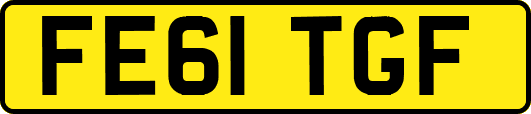 FE61TGF