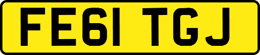 FE61TGJ