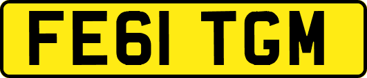 FE61TGM