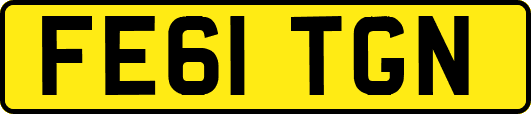 FE61TGN