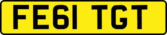 FE61TGT