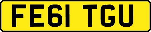 FE61TGU