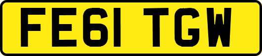 FE61TGW