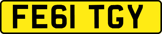FE61TGY