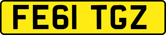 FE61TGZ