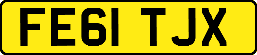 FE61TJX
