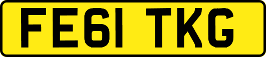 FE61TKG