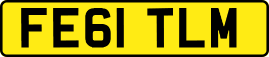 FE61TLM