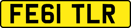 FE61TLR