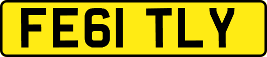 FE61TLY