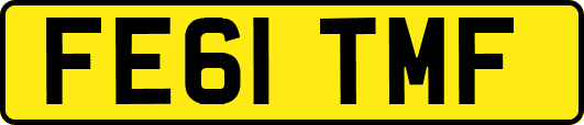 FE61TMF