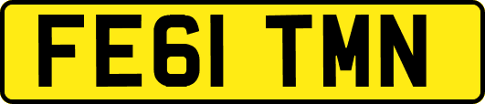 FE61TMN